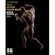 ADAM AD01 1/12 Scale Comic Style Strong Figure Body